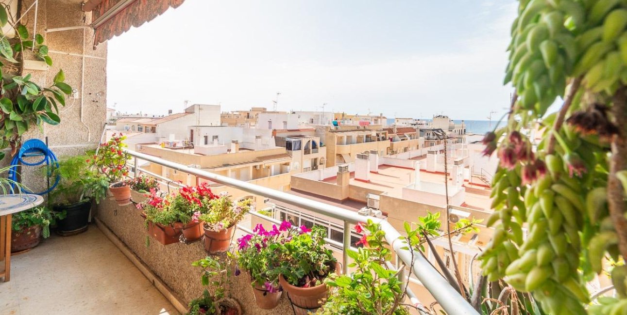 Rynek wtórny - Mieszkanie  -
Torrevieja - Centro