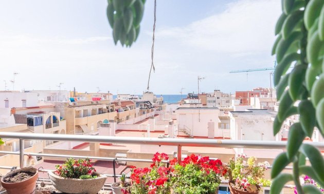 Rynek wtórny - Mieszkanie  -
Torrevieja - Centro