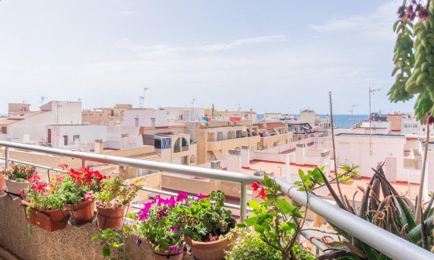 Rynek wtórny - Mieszkanie  -
Torrevieja - Centro