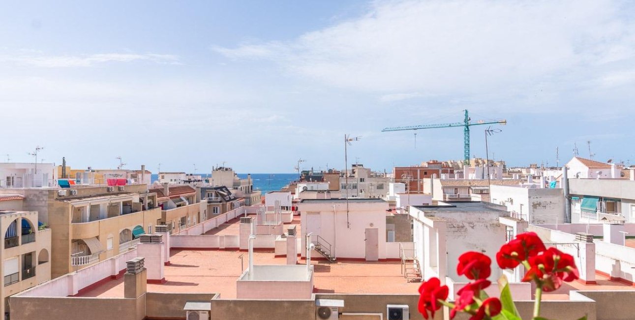 Rynek wtórny - Mieszkanie  -
Torrevieja - Centro