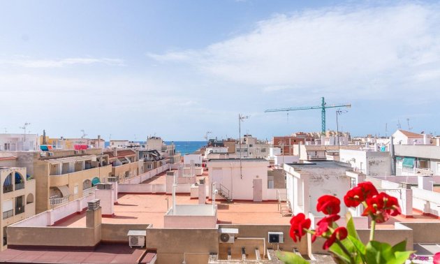 Rynek wtórny - Mieszkanie  -
Torrevieja - Centro
