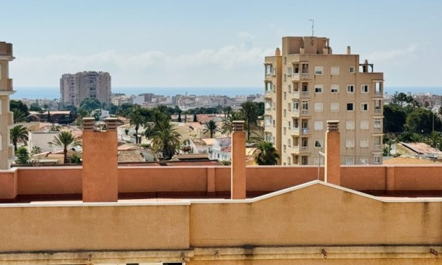 Reventa - Apartamento / piso -
Torrevieja - Aguas nuevas 1