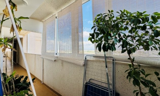 Reventa - Apartamento / piso -
Torrevieja - Aguas nuevas 1