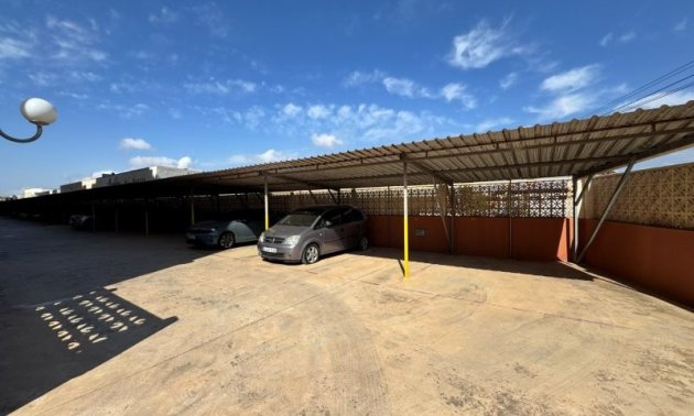 Reventa - Apartamento / piso -
Torrevieja - Aguas nuevas 1