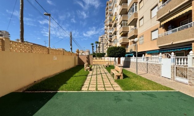 Reventa - Apartamento / piso -
Torrevieja - Aguas nuevas 1