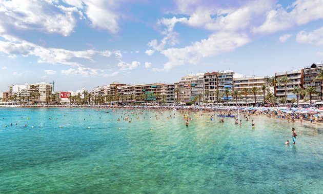 Rynek wtórny - Nauka -
Torrevieja - Centro