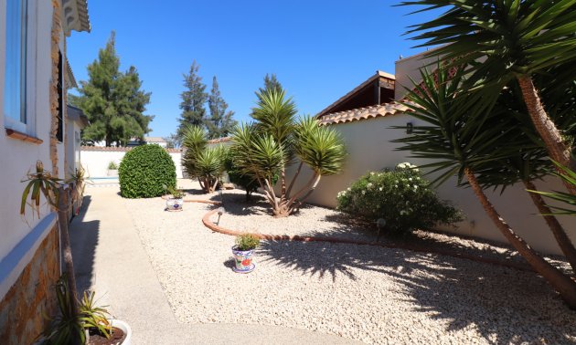 Resale - Villa -
Formentera del Segura - Fincas de La Vega