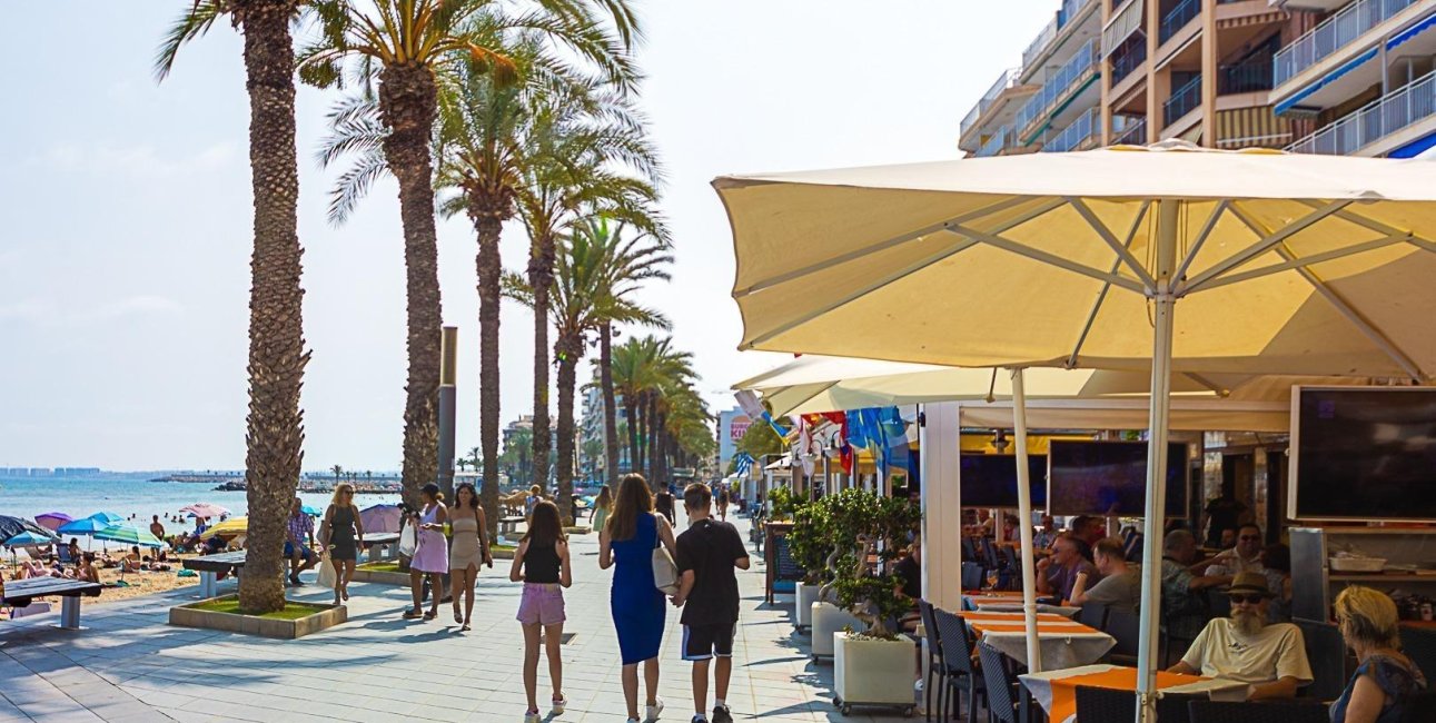 Rynek wtórny - Nauka -
Torrevieja - Centro