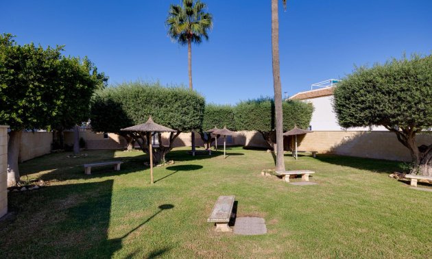 Resale - Bungalow -
Torrevieja - Carrefour