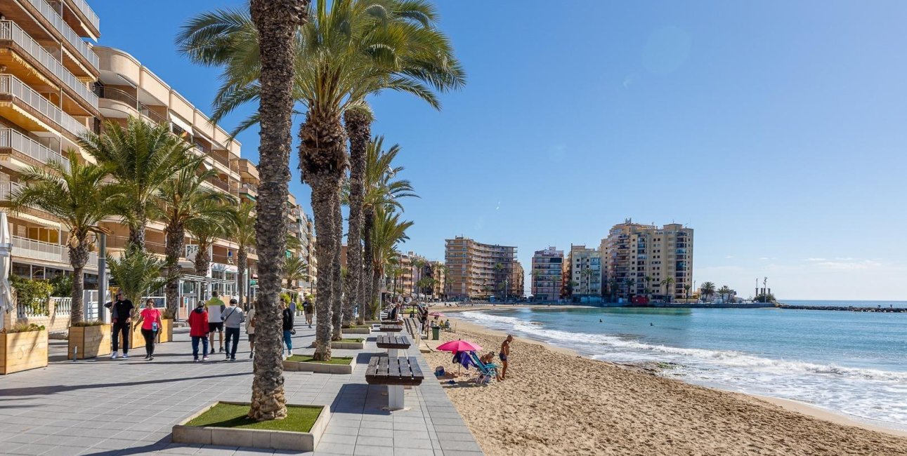 Rynek wtórny - Nauka -
Torrevieja - Centro