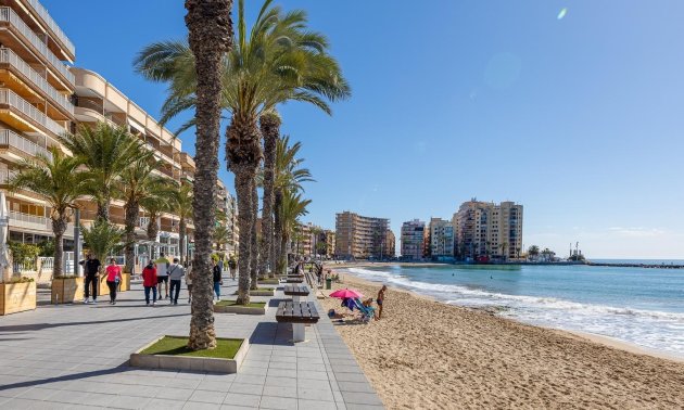 Rynek wtórny - Nauka -
Torrevieja - Centro