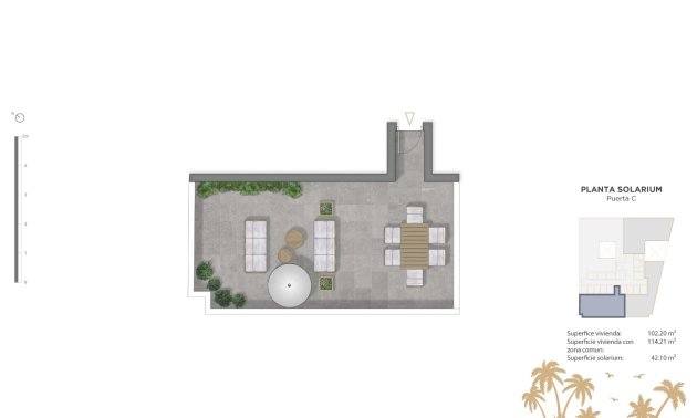 Rynek pierwotny - Penthouse -
Guardamar del Segura - Pueblo