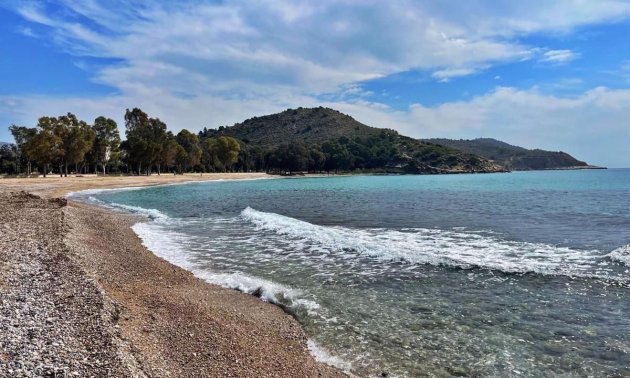 Rynek pierwotny - Mieszkanie w bloku -
Villajoyosa - Playa Les Torres