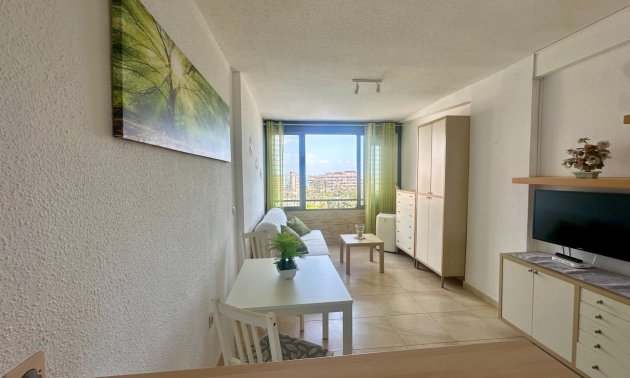 Reventa - Apartamento / piso -
Torrevieja - Cabo cervera
