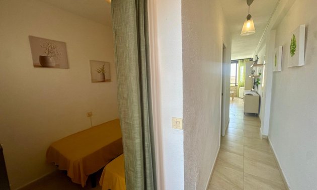 Reventa - Apartamento / piso -
Torrevieja - Cabo cervera