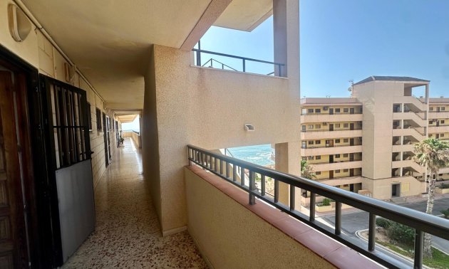 Reventa - Apartamento / piso -
Torrevieja - Cabo cervera