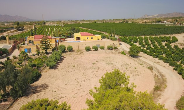 Resale - Country House -
Albatera - Albatera - Country