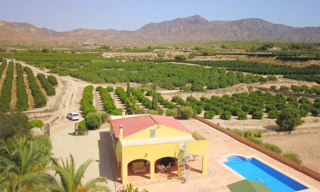 Resale - Country House -
Albatera - Albatera - Country