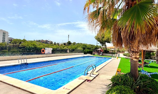 Reventa - Apartamento / piso -
Orihuela Costa - La Zenia