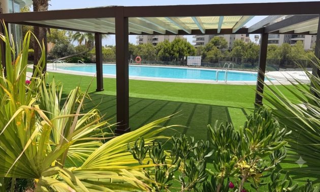 Reventa - Apartamento / piso -
Orihuela Costa - La Zenia