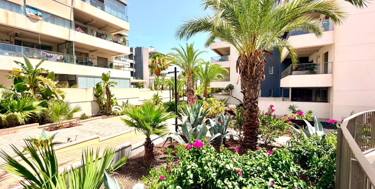 Reventa - Apartamento / piso -
Orihuela Costa - La Zenia