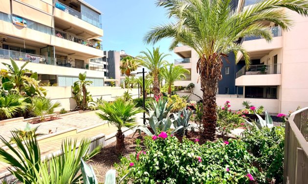 Reventa - Apartamento / piso -
Orihuela Costa - La Zenia