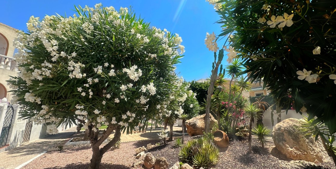 Reventa - Bungalow -
Torrevieja - La Mata