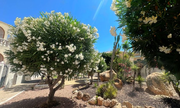 Reventa - Bungalow -
Torrevieja - La Mata