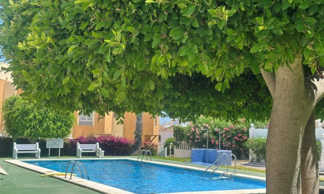 Reventa - Bungalow -
Torrevieja - La Mata
