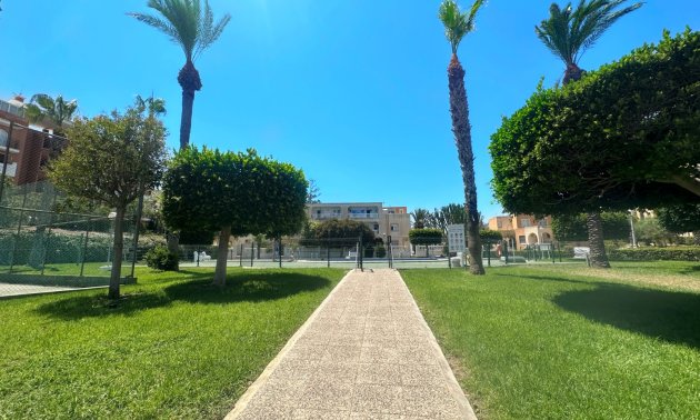 Reventa - Bungalow -
Torrevieja - La Mata