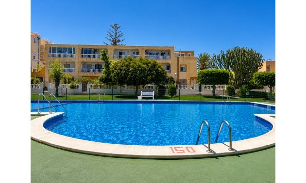 Reventa - Bungalow -
Torrevieja - La Mata