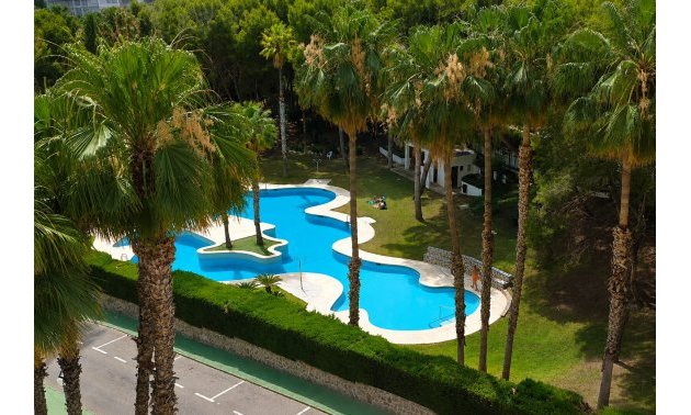 Rynek wtórny - Mieszkanie  -
Orihuela Costa - Campoamor
