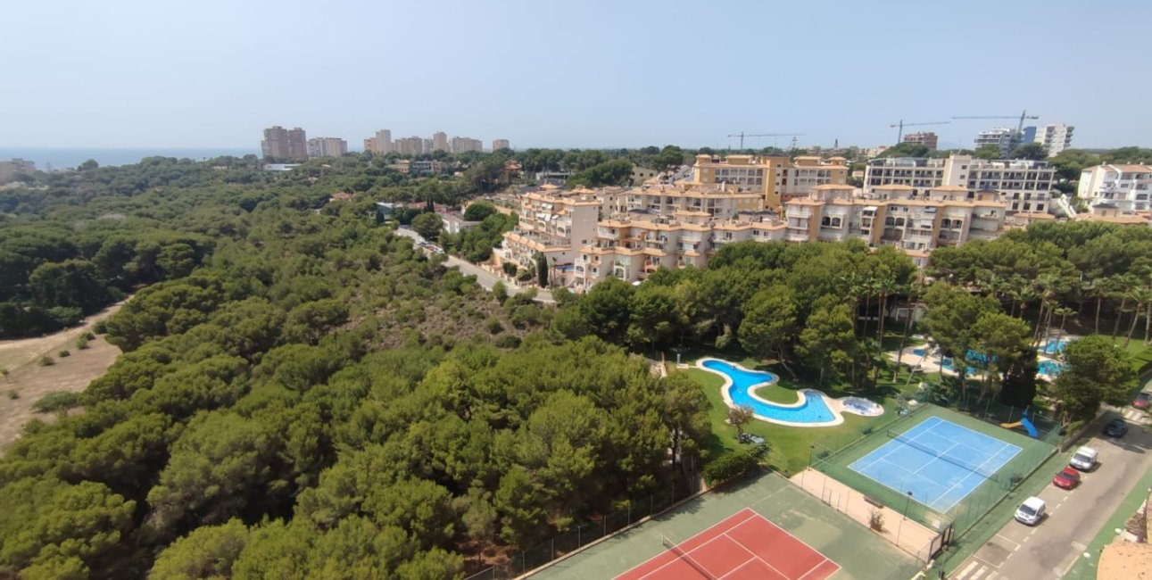 Rynek wtórny - Mieszkanie  -
Orihuela Costa - Campoamor