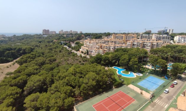 Rynek wtórny - Mieszkanie  -
Orihuela Costa - Campoamor