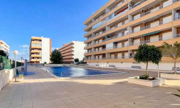 Rynek wtórny - Mieszkanie  -
Torrevieja - Rocio del Mar
