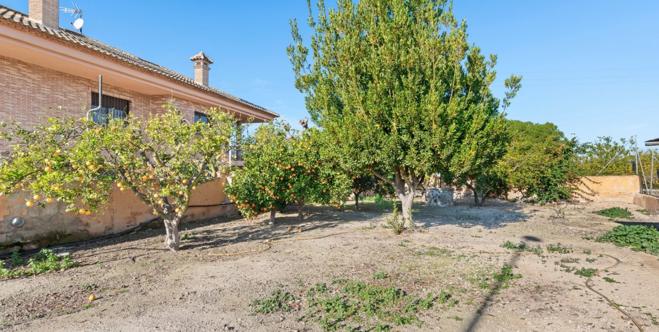 Reventa - Finca -
Beniel - Beniel - Country
