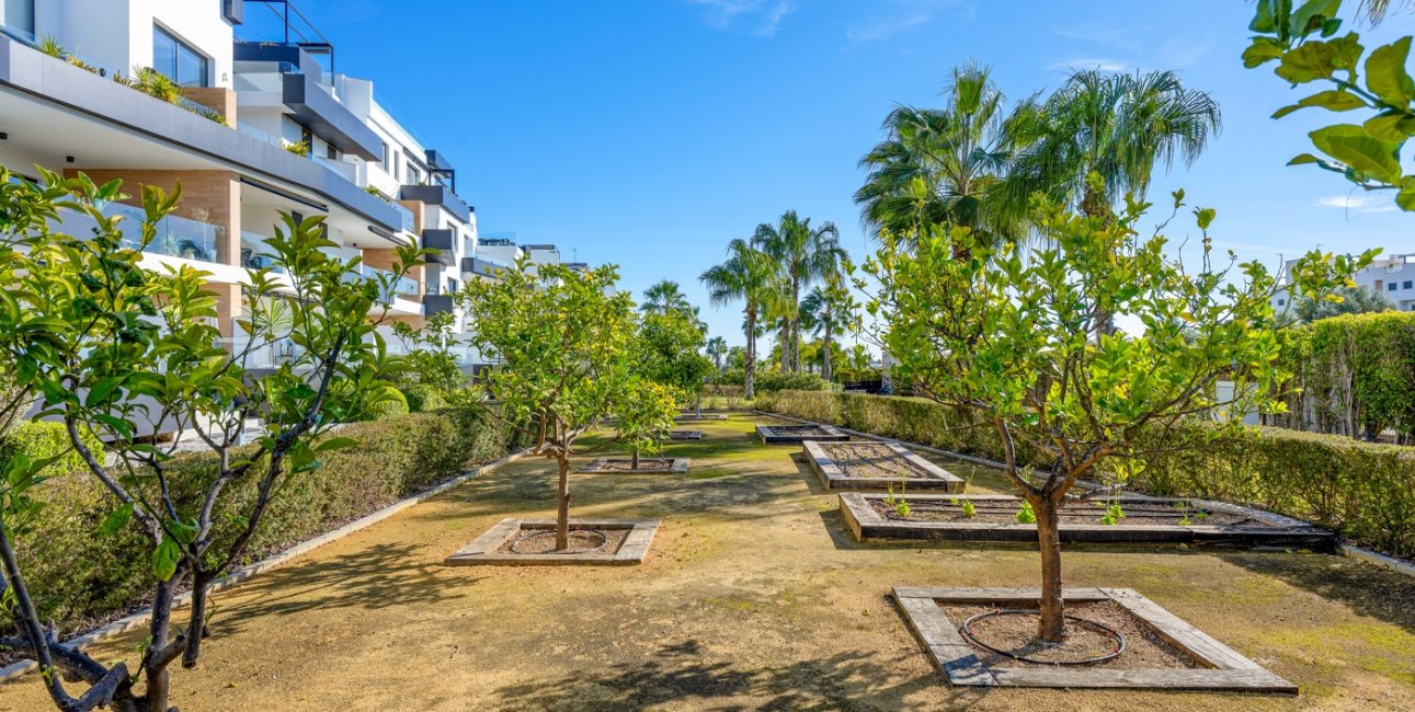 Reventa - Apartamento / piso -
Orihuela Costa - Los Dolses