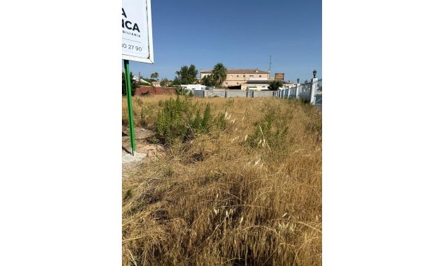 Resale - Plot / Land -
Orihuela Costa - La Regia