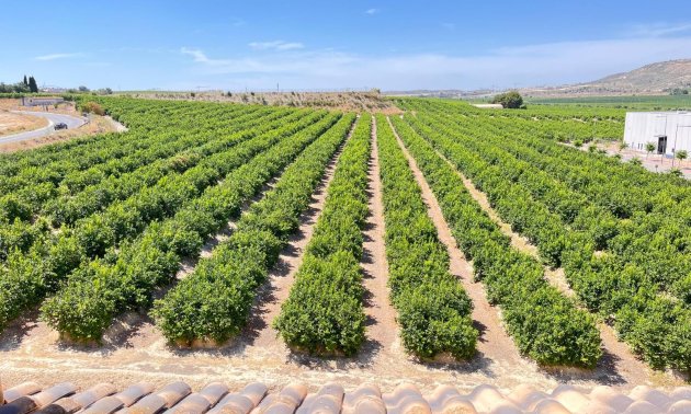 Resale - Apartment / flat -
Algorfa - Algorfa - Village