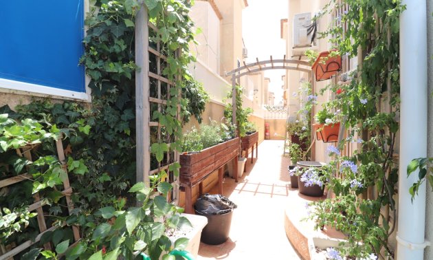Resale - Villa -
Algorfa - Montebello