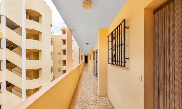 Resale - Apartment / flat -
Guardamar del Segura - CENTRO
