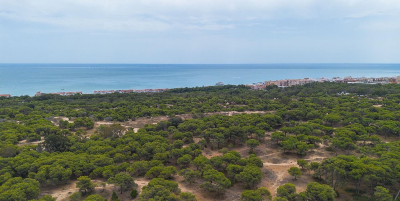 Resale - Apartment / flat -
Guardamar del Segura - CENTRO