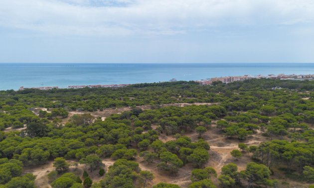 Resale - Apartment / flat -
Guardamar del Segura - CENTRO