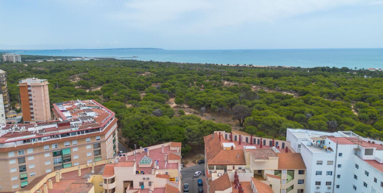 Resale - Apartment / flat -
Guardamar del Segura - CENTRO