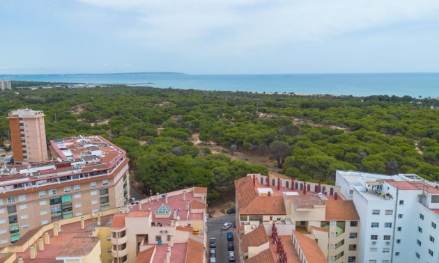 Resale - Apartment / flat -
Guardamar del Segura - CENTRO