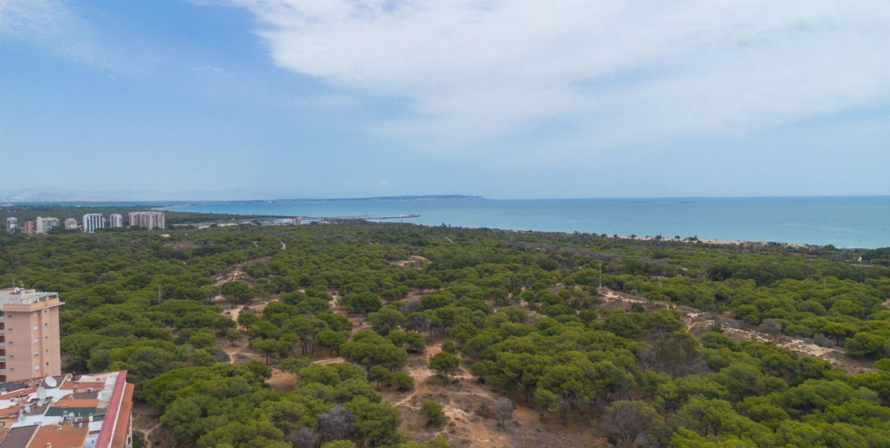 Resale - Apartment / flat -
Guardamar del Segura - CENTRO