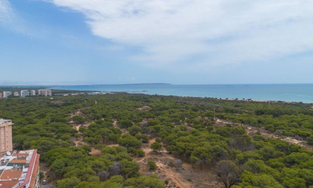Resale - Apartment / flat -
Guardamar del Segura - CENTRO