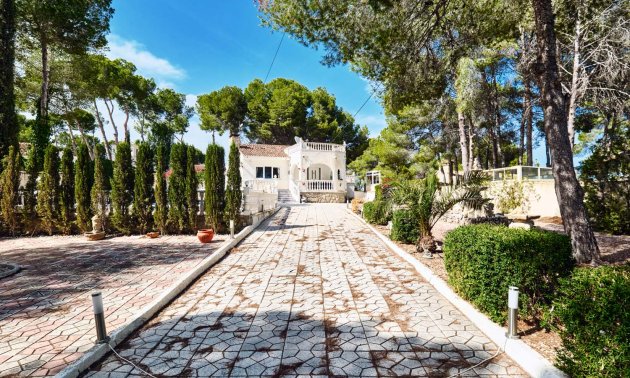 Resale - Villa -
Pinar de Campoverde - Pinar de Campoverde - Village