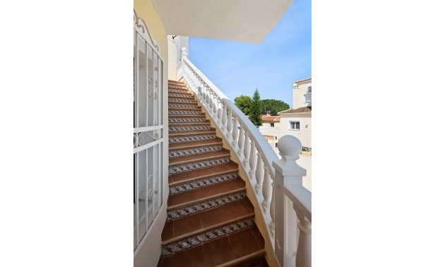Resale - Villa -
Pinar de Campoverde - Pinar de Campoverde - Village