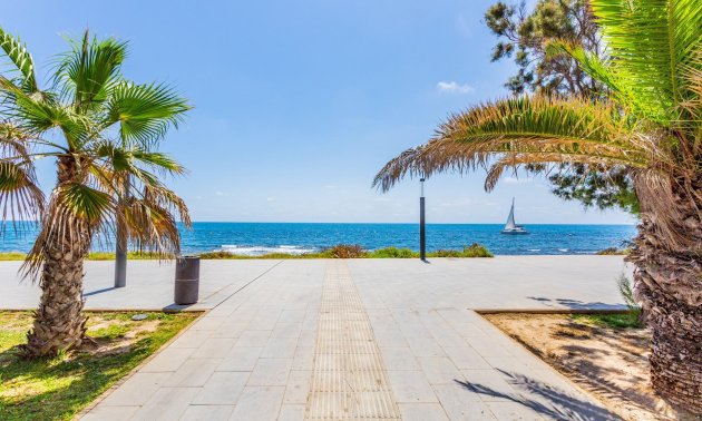 Reventa - Apartamento / piso -
Torrevieja - Estacion de autobuses